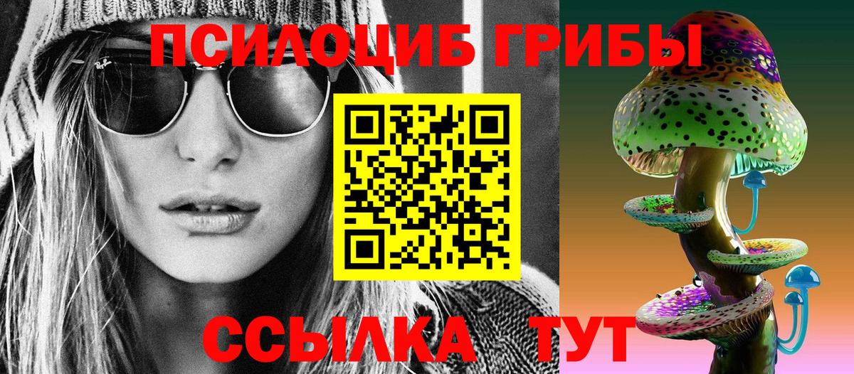 Псилоцибиновые грибы MAGIC MUSHROOMS Будённовск